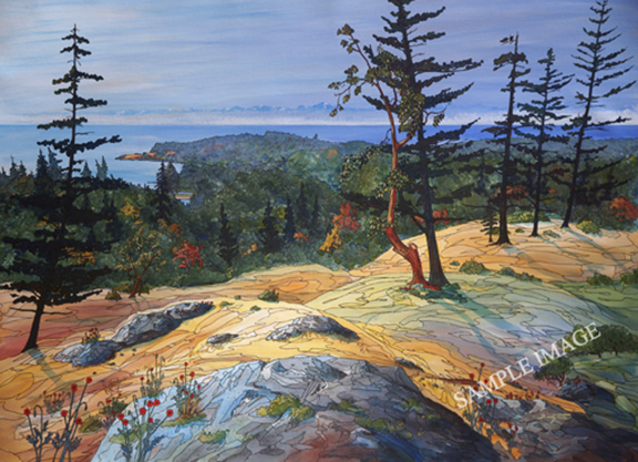 Arbutus and Poppies is a Barry Tate painting from Metchosin (Victoria BC) looking south towards the Olympic mountains in Washington state.