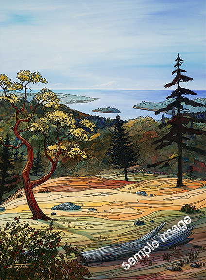 Arbutus painting with roses in the forground, over looking the gulf islands with Mt Baker in the distance