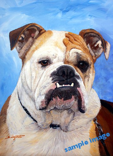 British buldog commission painting of Chloe- the grandpuppy. A painting by Barry Tate