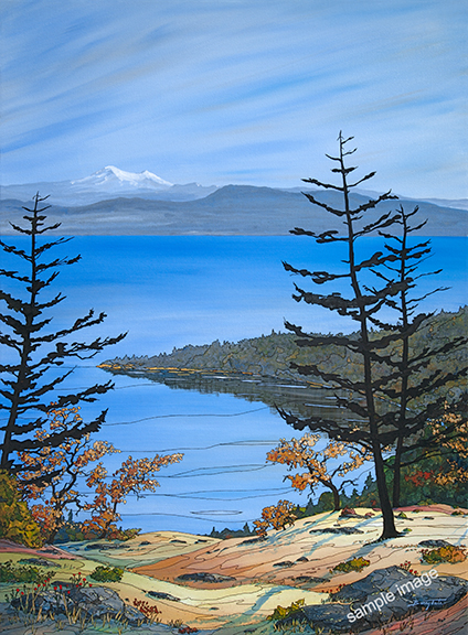 Cordova Bay from Mt Douglas with Mt Baker in the distance