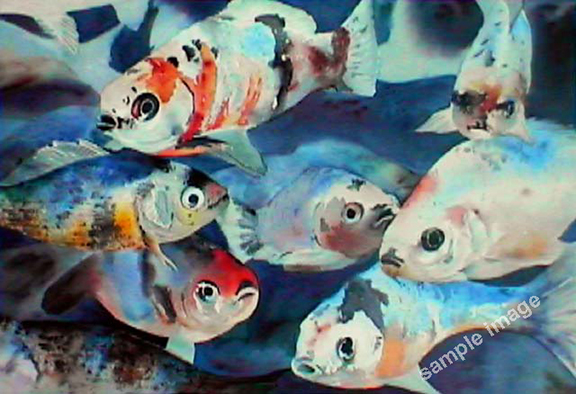 This is a painting of Curious Dolphins, a small gift shop in LaManzanilla Mexico